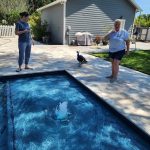 Pool Construction Project