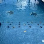 518431987_1286011660192046_291409103067863876_n